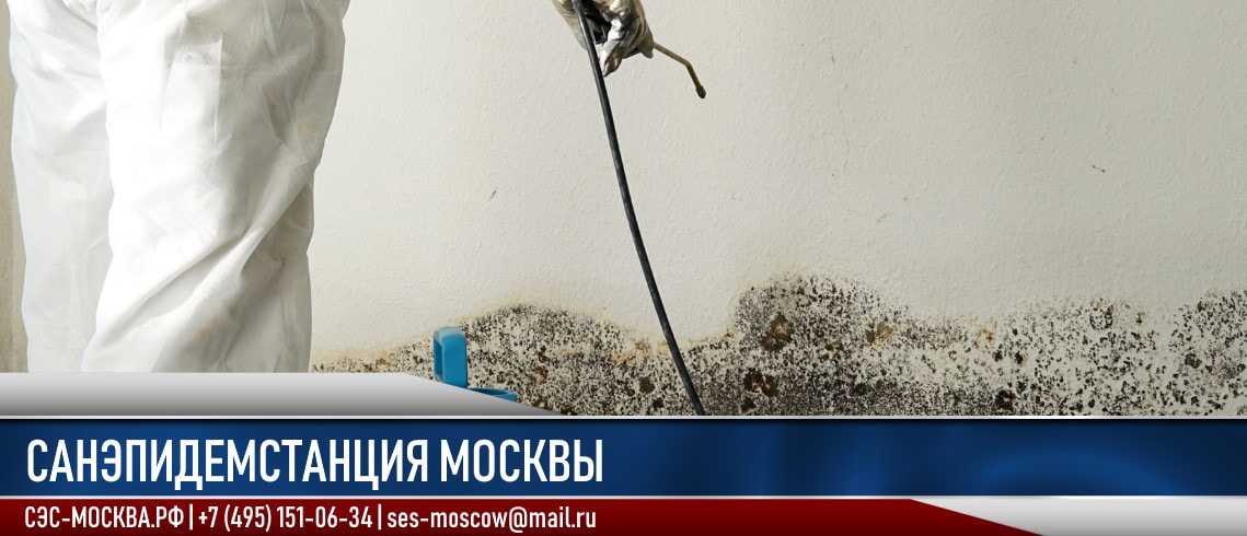 Санэпидемстанция в Москве